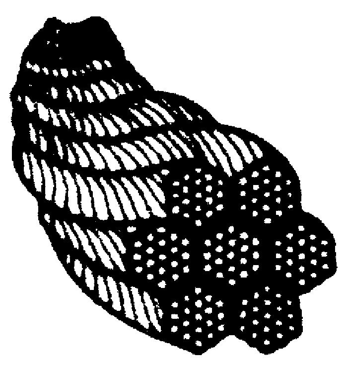 CBL38-1_1078
