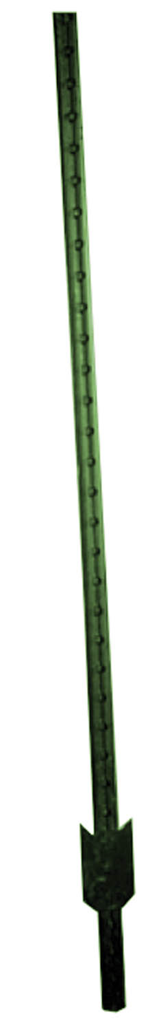 KIR1336-1_1078