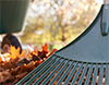 Fall Home Essentials