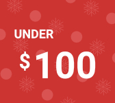 Gifts Under 100