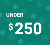 Gifts Under $250