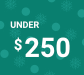 Gifts Under 250