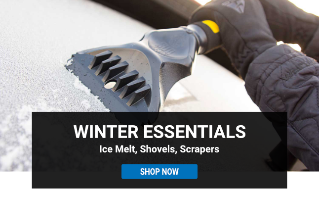Winter Essentials